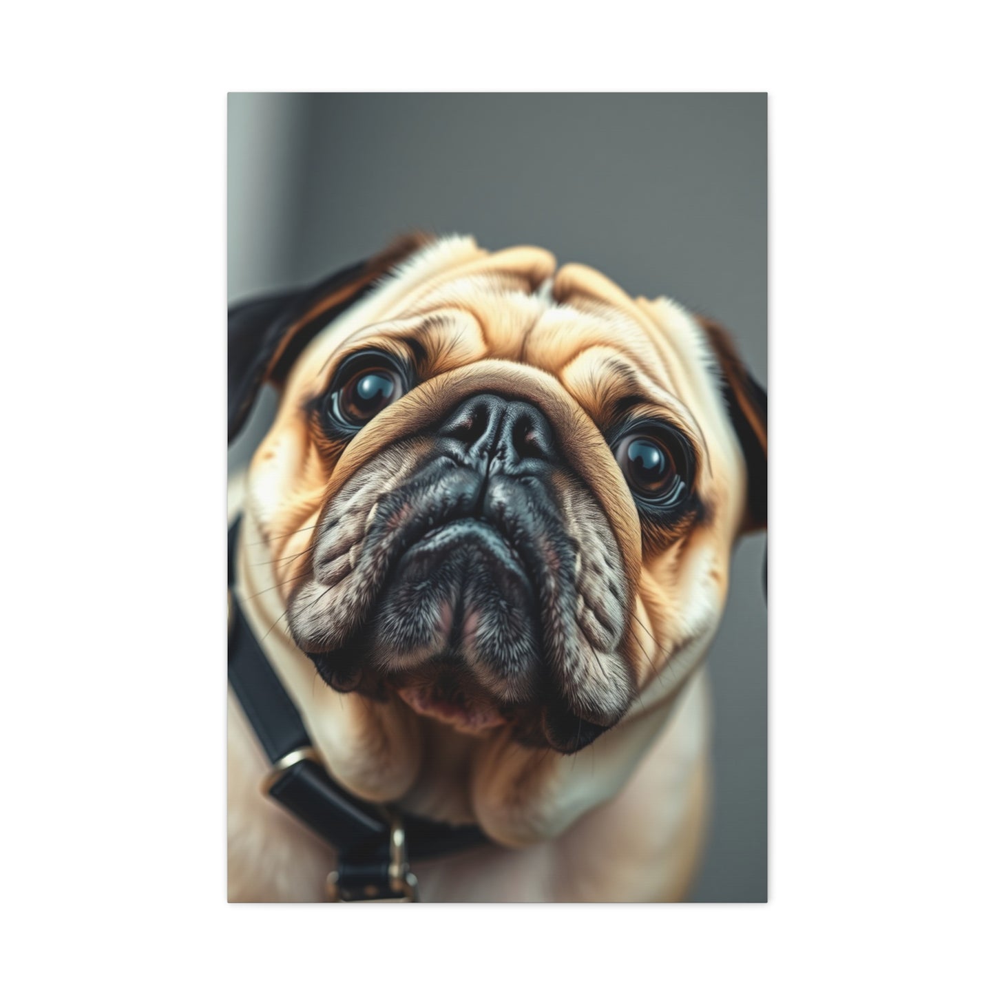 Pug Art Supreme Gallery Wall Art & Canvas Print