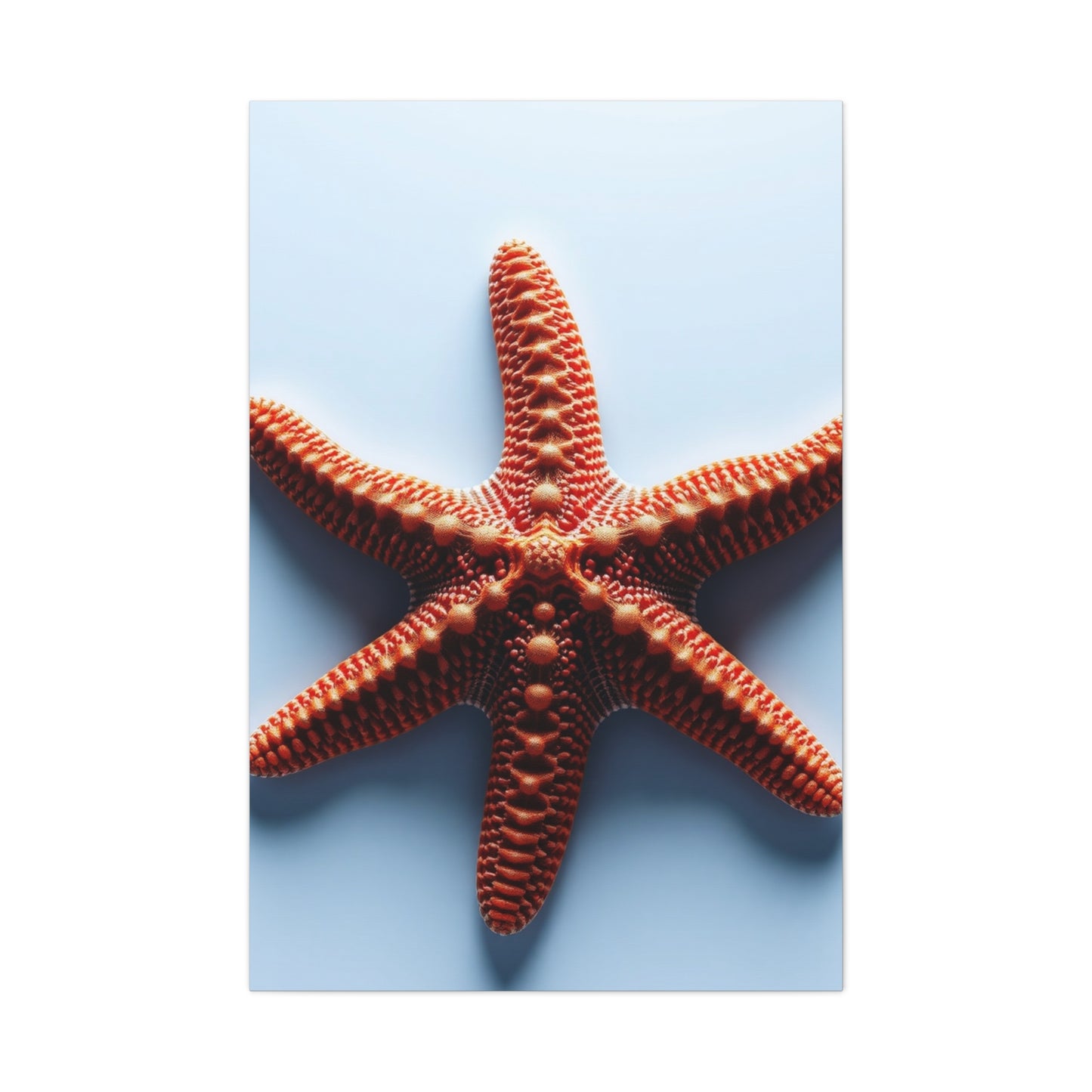 Starfish Art Supreme Gallery Wall Art & Canvas Print