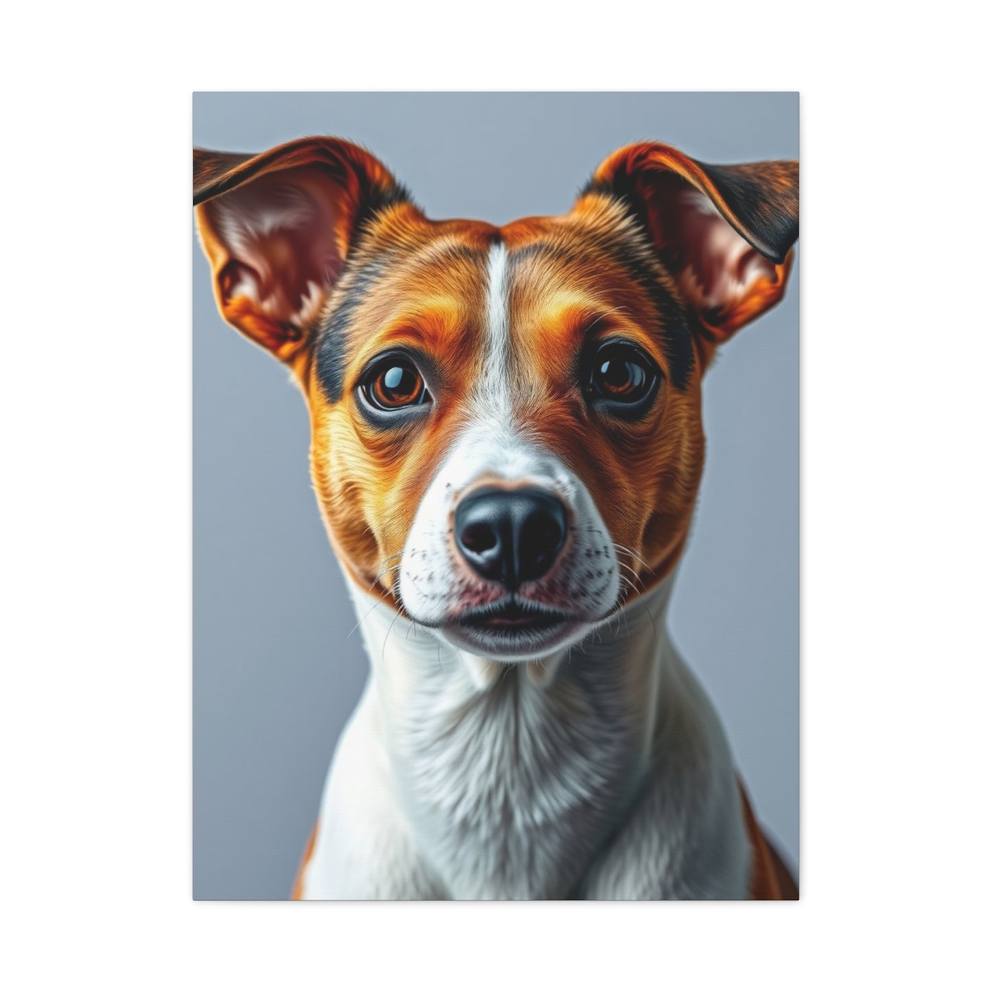 Jack Russell Terrier Art Supreme Gallery Wall Art & Canvas Print